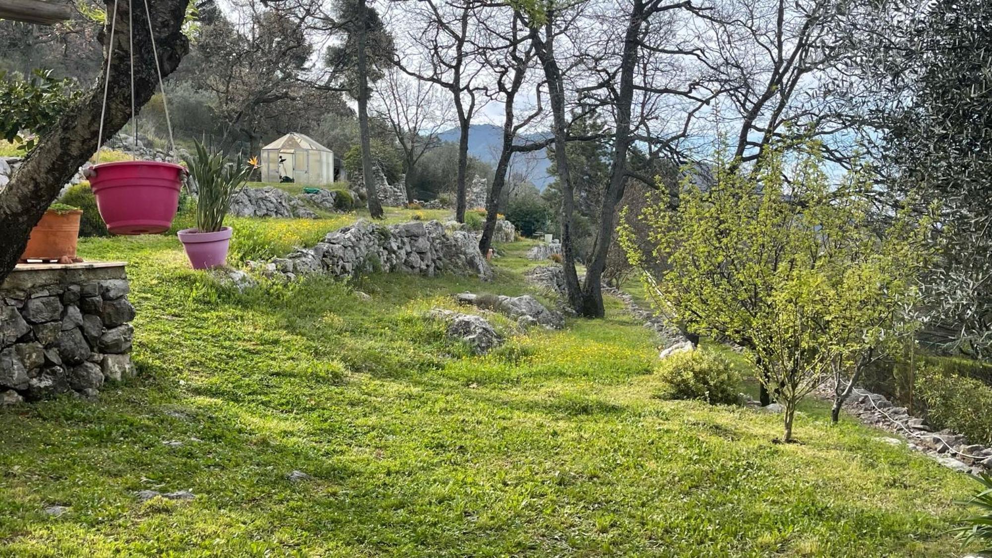 Rez De Jardin, Entre Mer Et Montagne Levens المظهر الخارجي الصورة