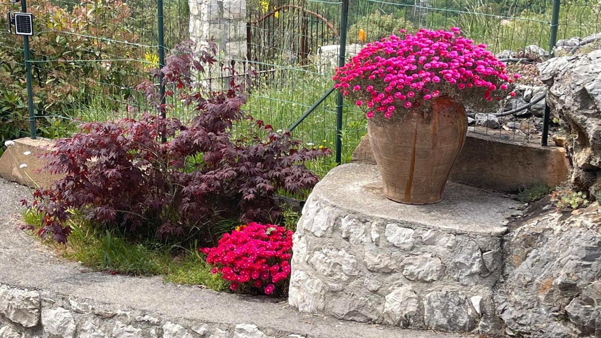 Rez De Jardin, Entre Mer Et Montagne Levens المظهر الخارجي الصورة